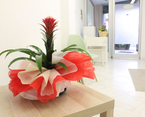 studio logopedista roma